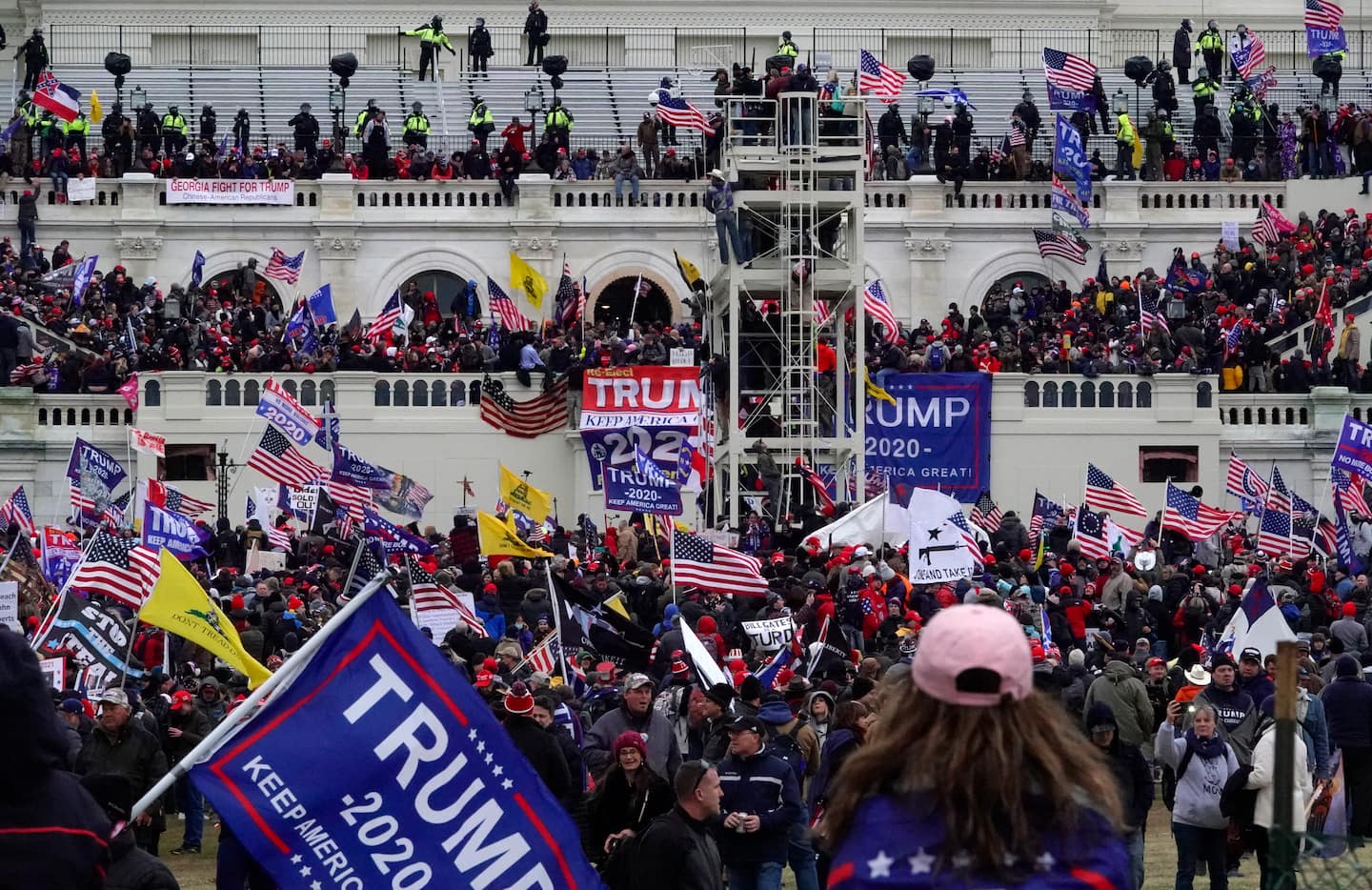 Mob with Trump Flag outside the Capitol